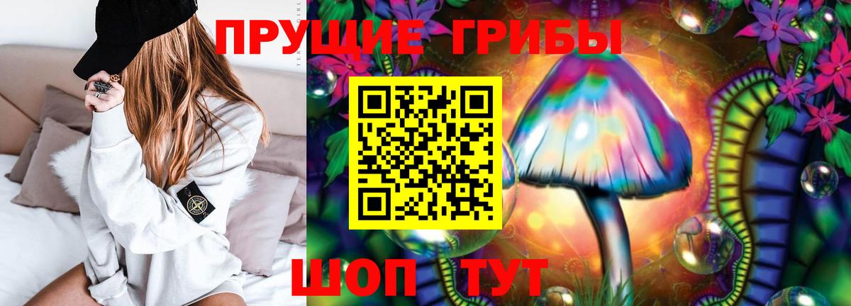 купить закладку  Вход с VPN  Новодвинск  Галлюциногенные грибы Cubensis  Галлюциногенные грибы Magic Shrooms 