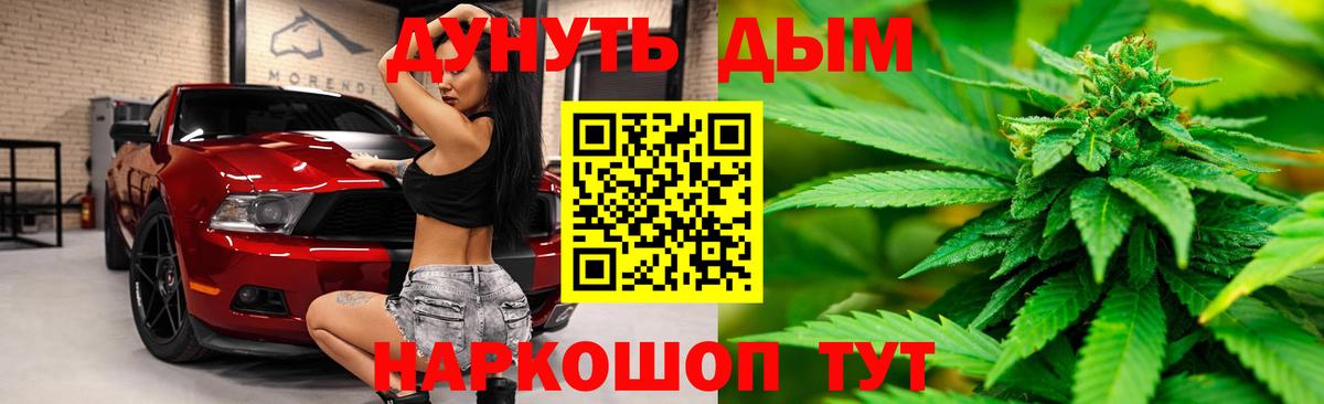 Конопля гибрид Новодвинск